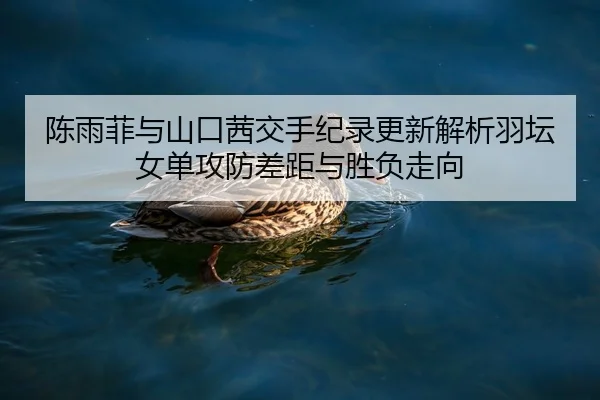 陈雨菲与山口茜交手纪录更新解析羽坛女单攻防差距与胜负走向（NBA）